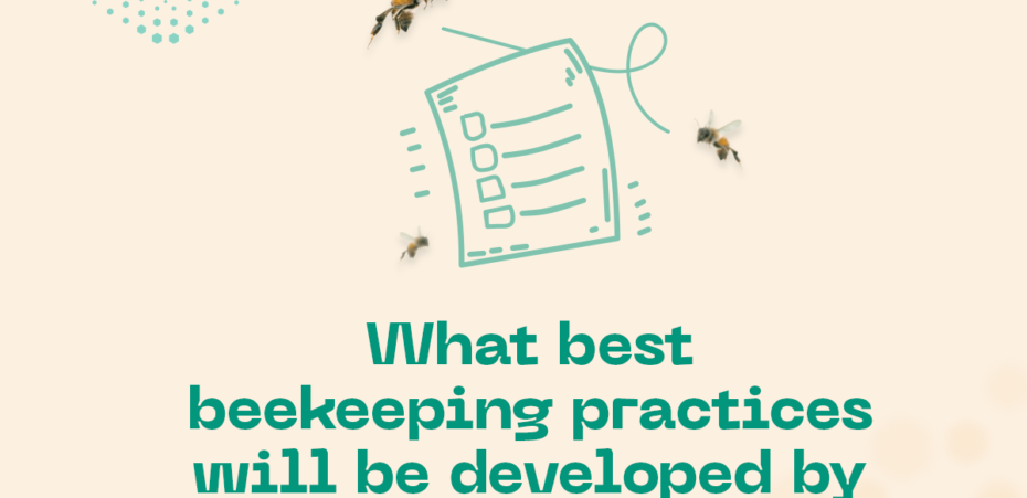 Help us decide what are the Best Beekeeping Practices we’ll develop in 2024!