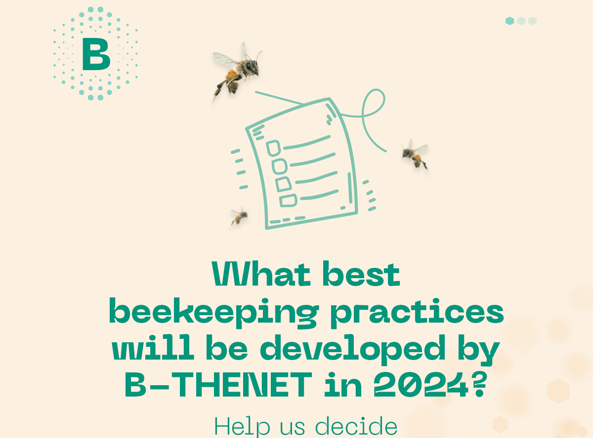 Help us decide what are the Best Beekeeping Practices we’ll develop in 2024!