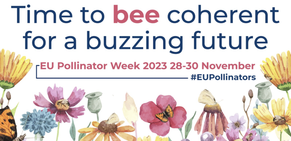 B-THENET present at the EU Pollinator Week